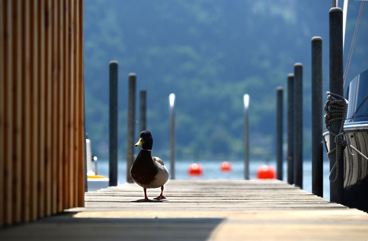 Die Wunder S Ferienpension Portschach am Woerthersee Exterior photo